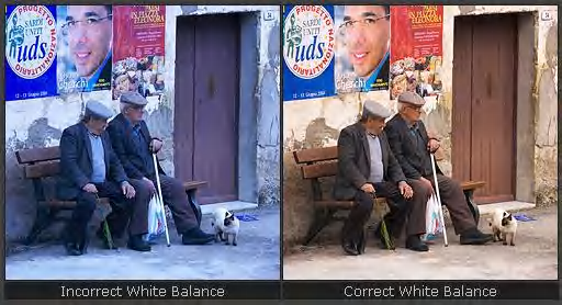  화이트 밸런스 (WB)