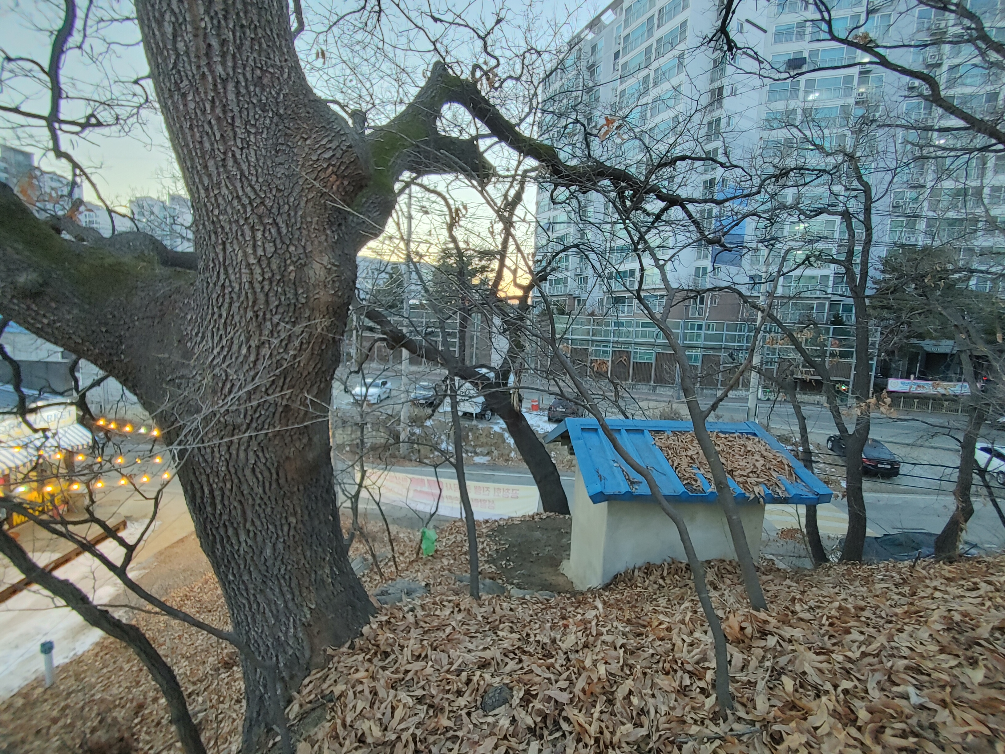 그루상조 이미지