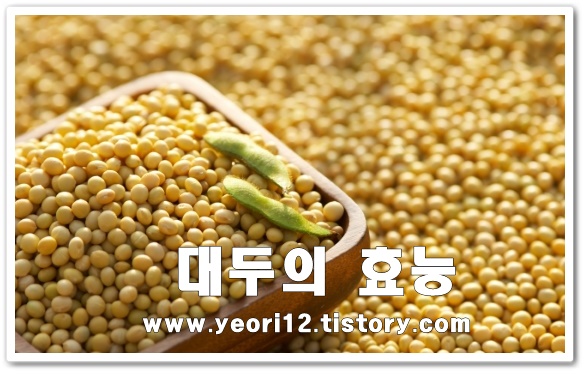  대두 효능