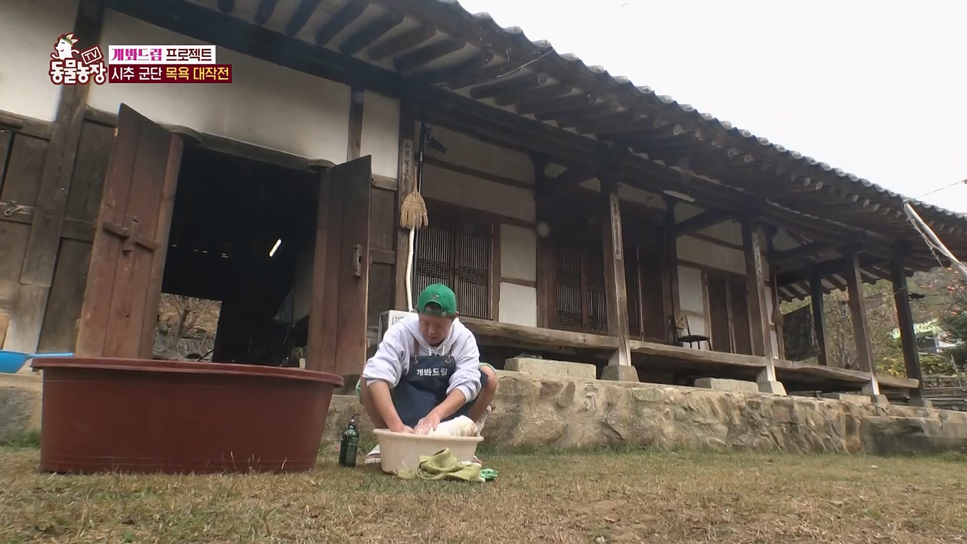 TV 동물농장.E1103.230108p.H264-F1RST.mp4_20230108_174647.165.jpg