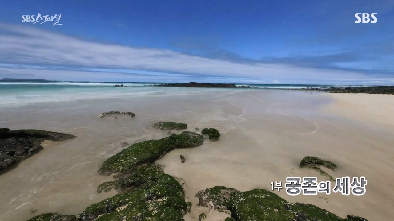 일요특선 다큐멘터리.E325.230724p-NEXT.mp4_20230726_213059.692.jpg