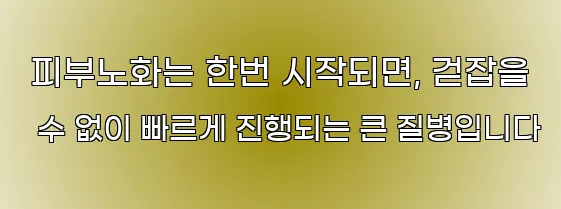  피부노화는 한번 시작되면, 걷잡을 수 없이 빠르게 진행되는 큰 질병입니다