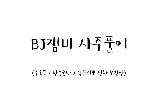  BJ잼미 사주풀이 (우울증 / 방송중단 / 악플러로 인한 모친상)