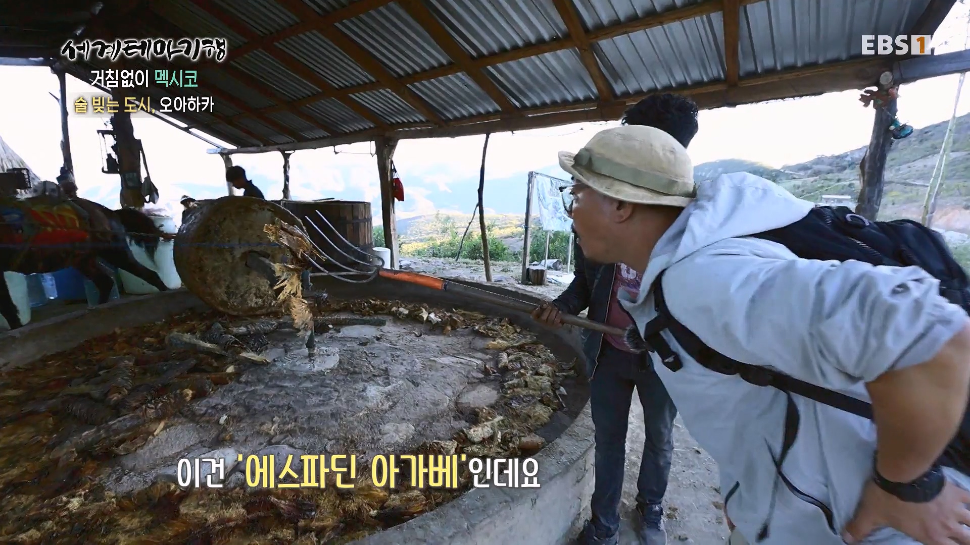 세계테마기행 240110 거침없이 멕시코 -맵다 매워 삐까삐까, 오아하카0p.mp4_20240713_163410.340.jpg