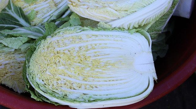 김장 20포기 황금레시피: 실패 없는 맛보장 김장 담그기