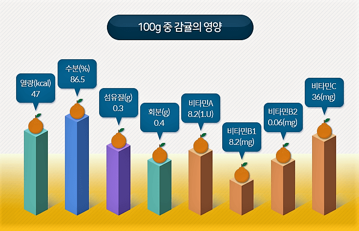 귤의 영양가 표시 데이터