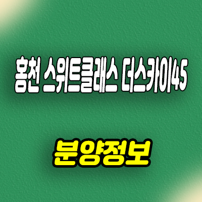  홍천 스위트클래스 더스카이45 미분양아파트 강원도 줍줍 분양가격 주변 학군 입지분석
