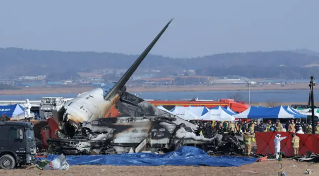 무안공항 제주항고 여객기 사고현황, 경위, 피해상황 및 원인분석