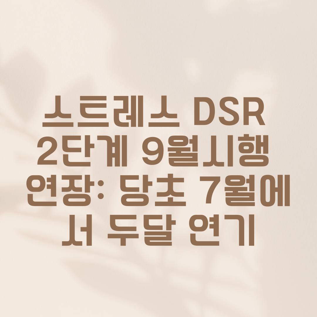 스트레스 DSR 2단계 9월시행 연장: 당초 7월에서 두달 연기