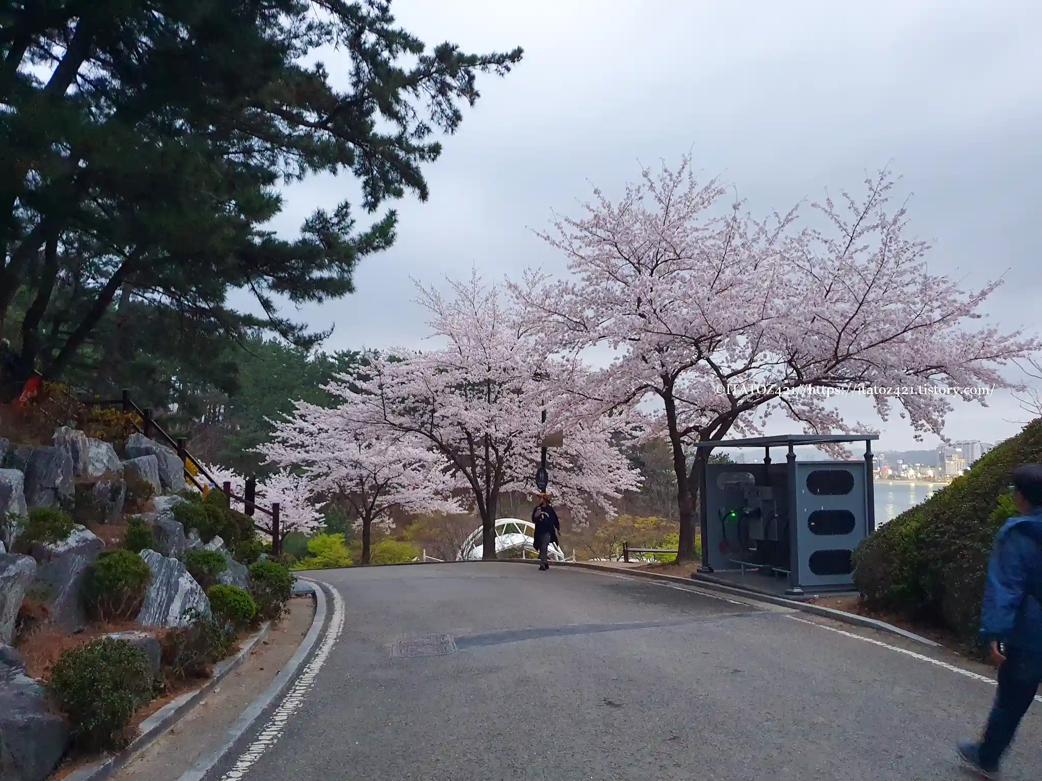 주말 경상도 여행지 포항 환호 공원 스페이스 워크