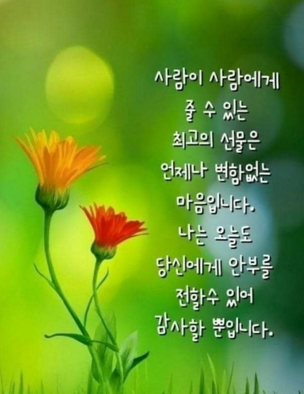  오늘의 좋은글 343번째 성공은 출발점에서 얼마나 더 왔느냐 하는 것입니다