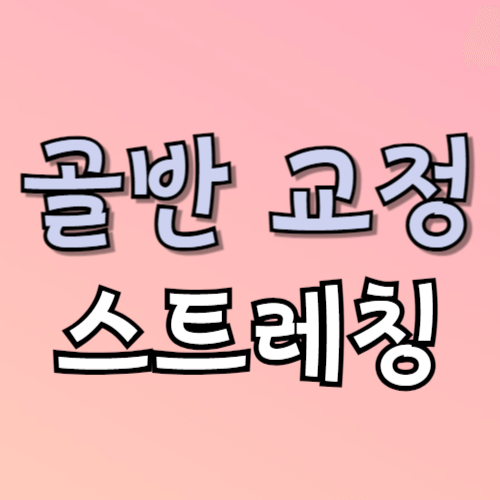 골반 교정 스트레칭 효과