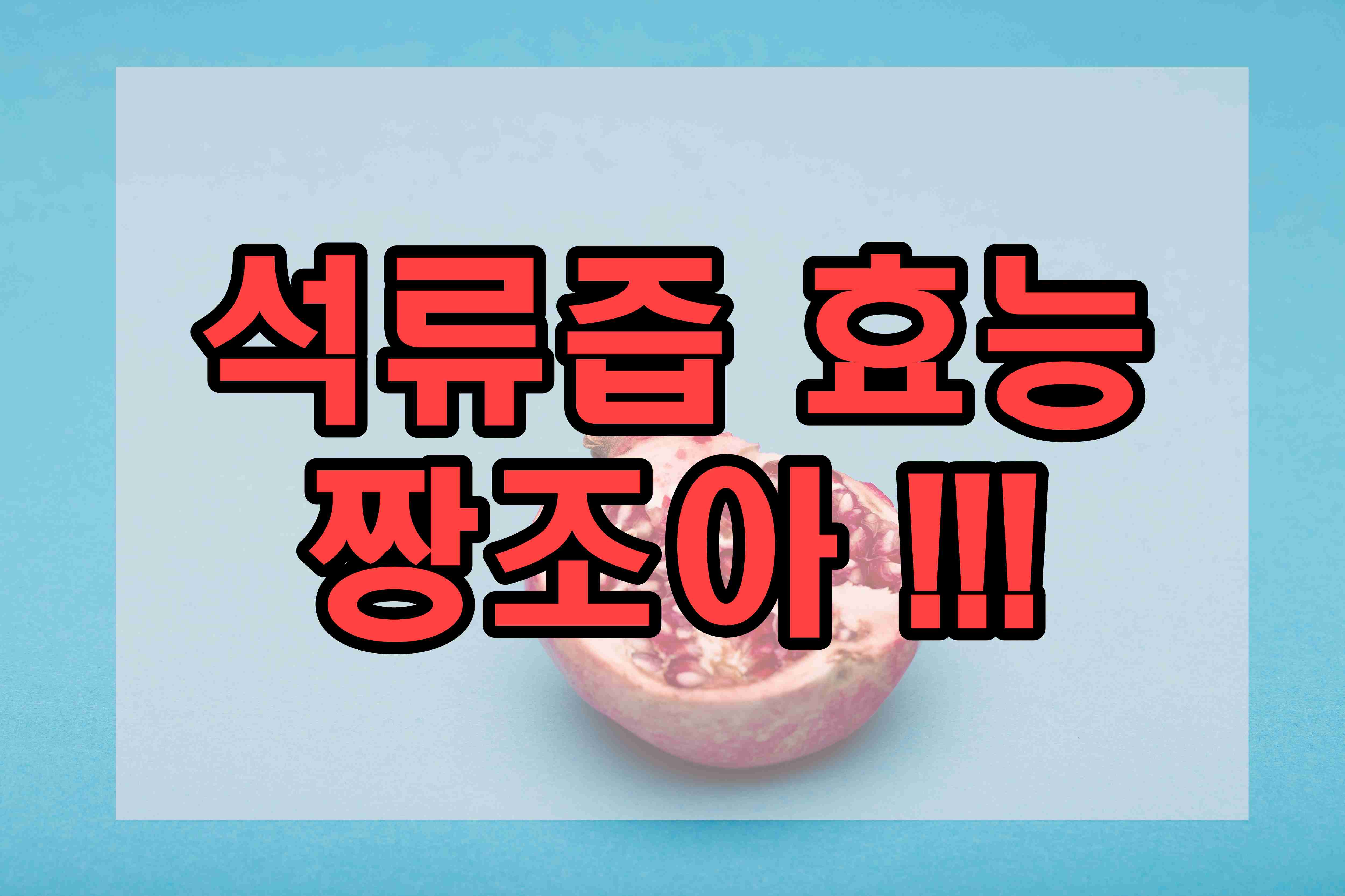  석류즙 효능 총정리
