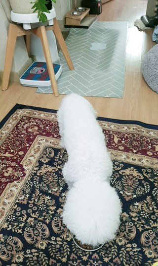 에코플러스 이미지