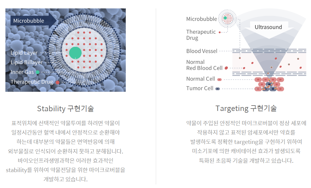 바이오인프라의 표적 초음파 약물 및 유전자 전달 시스템 사진