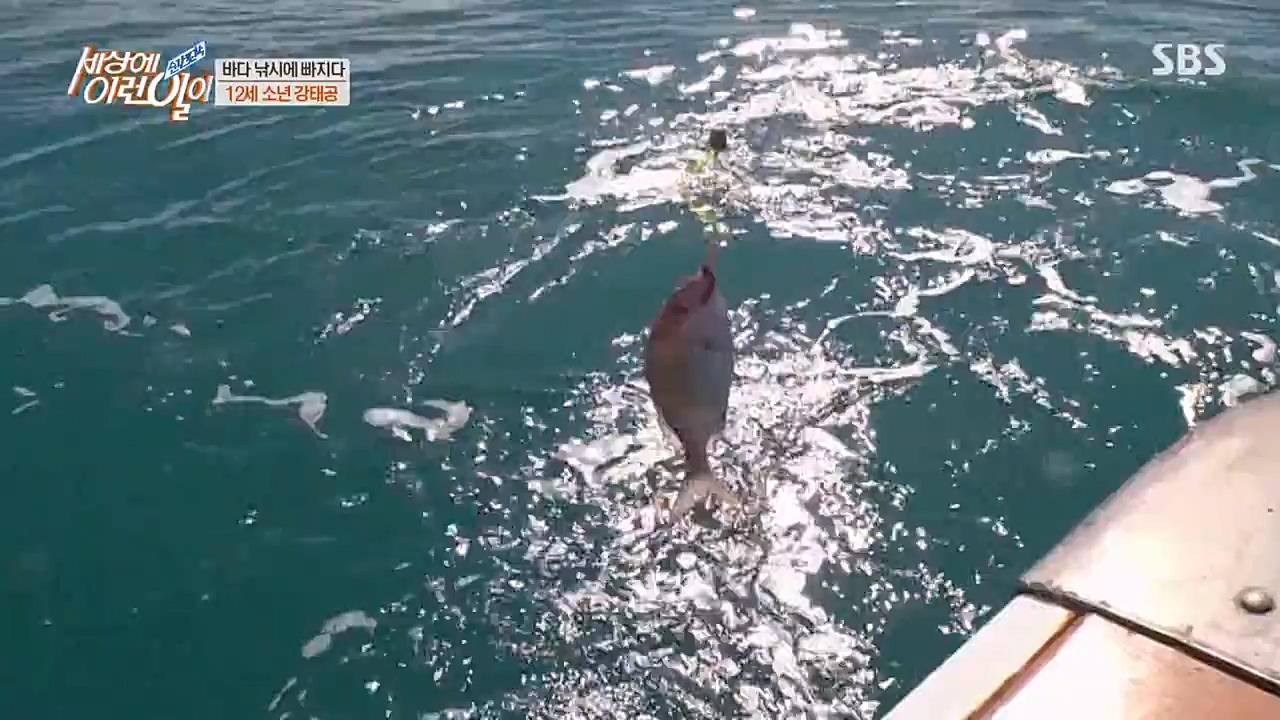 순간포착 세상에 이런일이.E1216.230208p-NEXT.mp4_20230208_194143.484.jpg