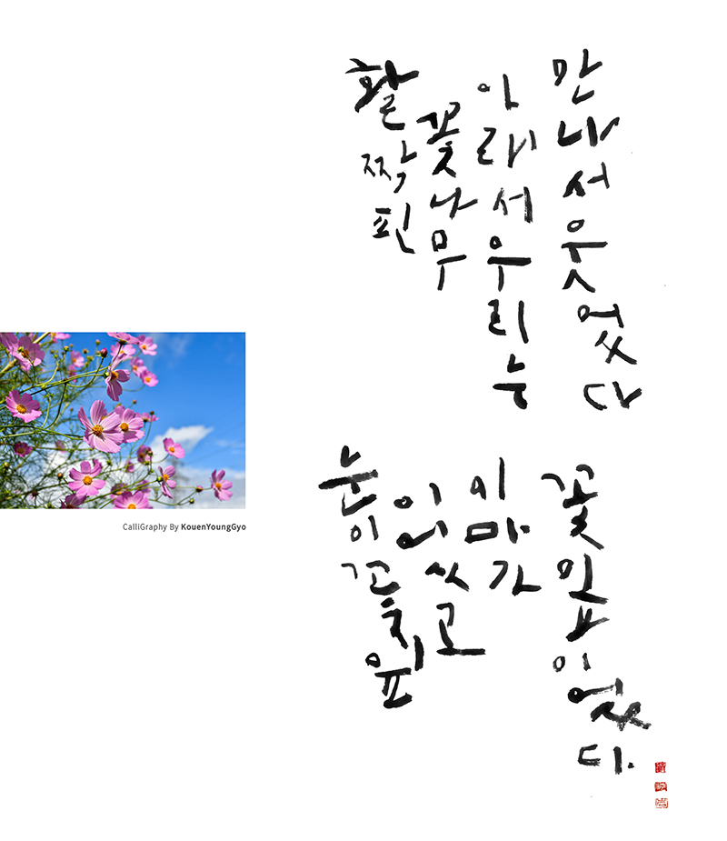  하윤주 정가 나태주 시인 꽃잎