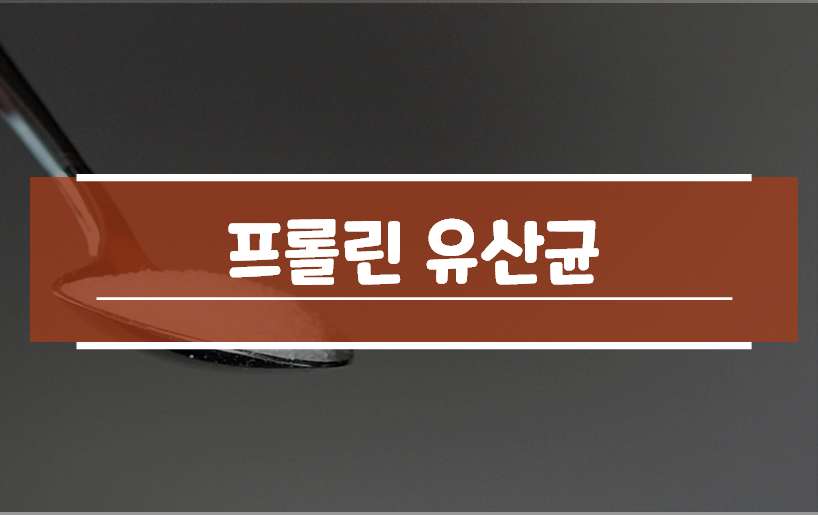  프롤린 유산균 효능