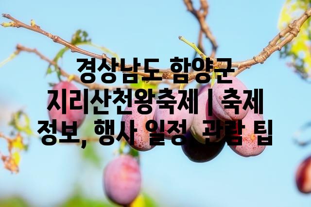 랜덤186