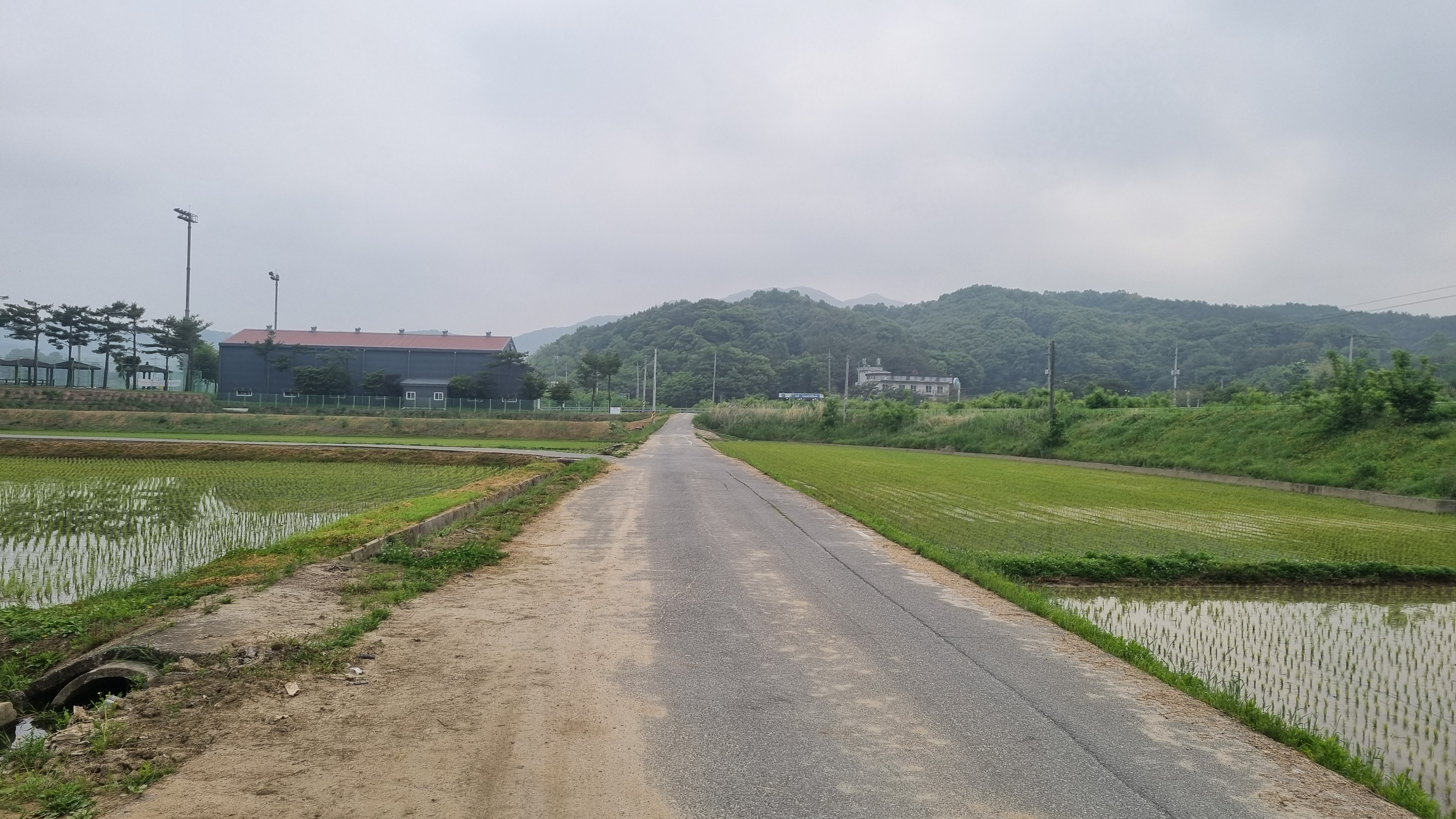 신선해라 이미지