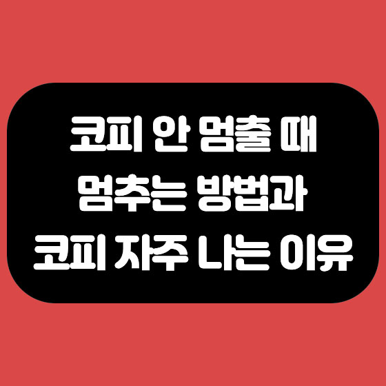  코피 안멈출때 멈추는 방법 과 코피 자주나는 이유