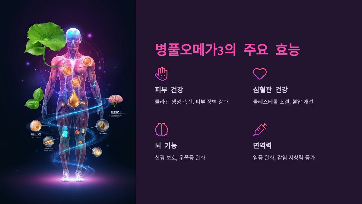 병풀오메가3 효능