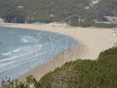 서포리