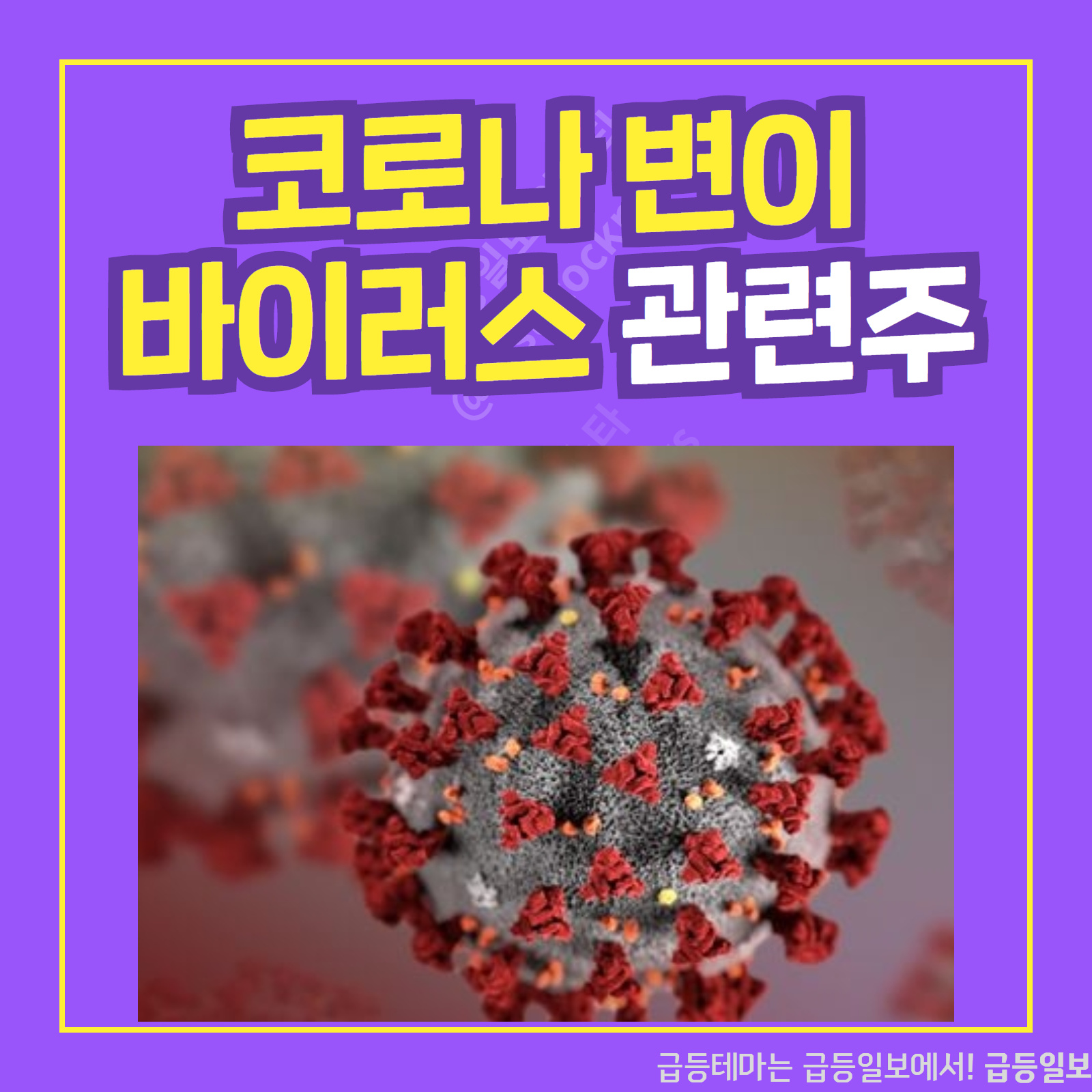  코로나 변이 바이러스 관련주 :: 급등일보 카드뉴스