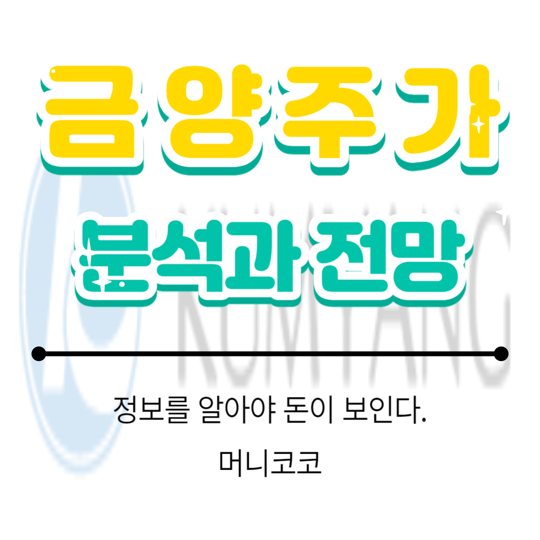  금양 주가의 분석과 전망