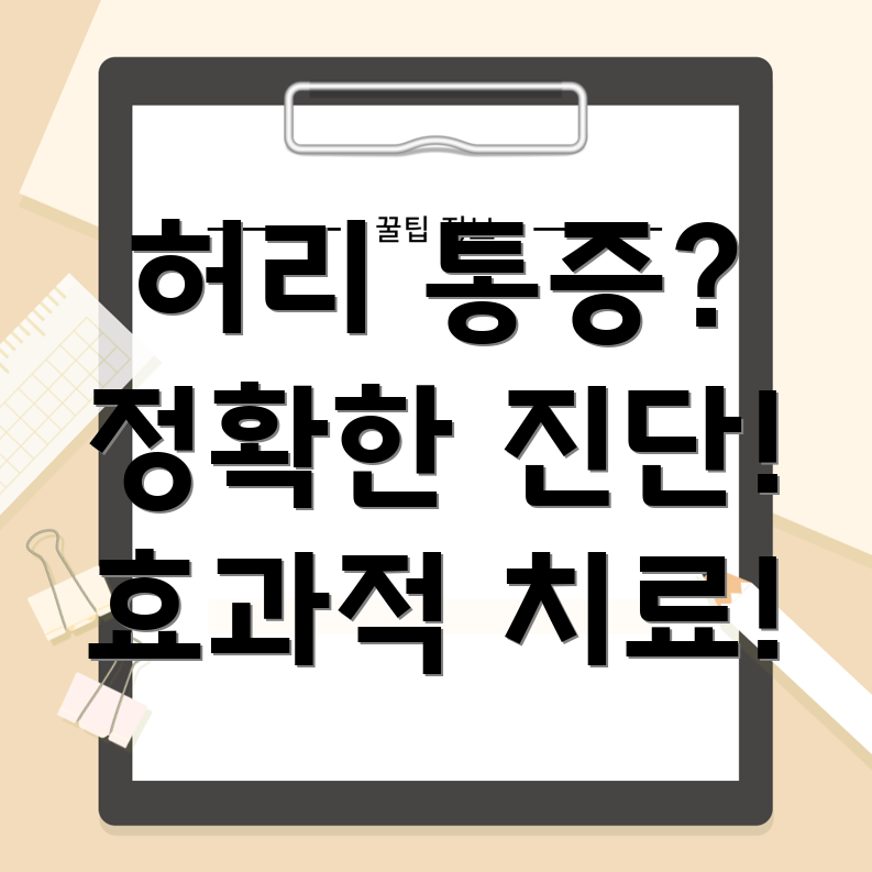 의성군 허리통증