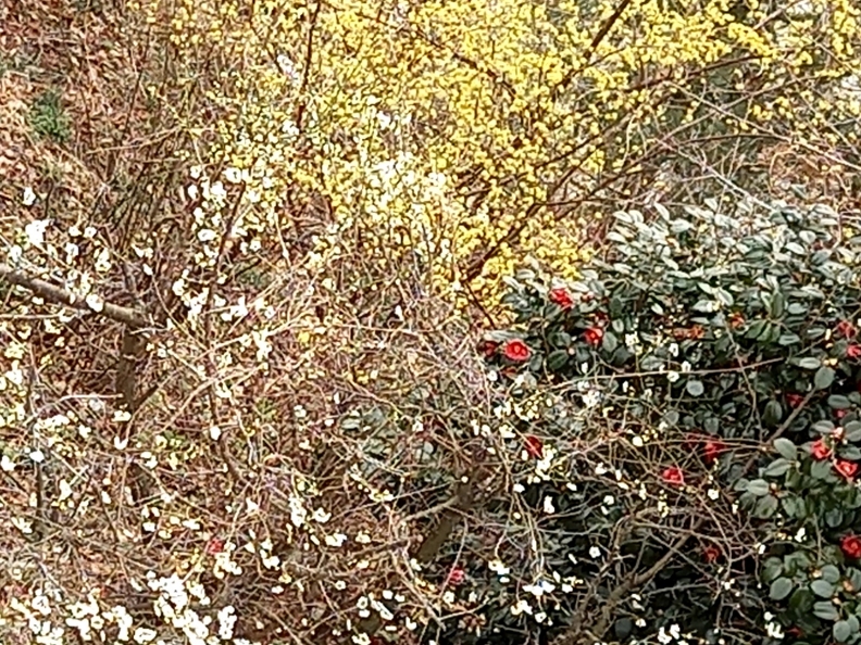 img.jpg