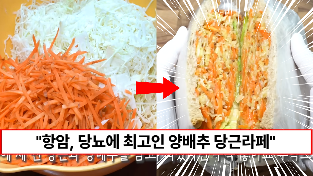 “당뇨, 항암, 다이어트에 최고입니다” 몸에 좋은 양배추와 당근 가장 맛있게 먹는 레시피 1가지 “당뇨, 항암, 다이어트에 최고입니다” 몸에 좋은 양배추와 당근 가장 맛있게 먹는 레시피 1가지