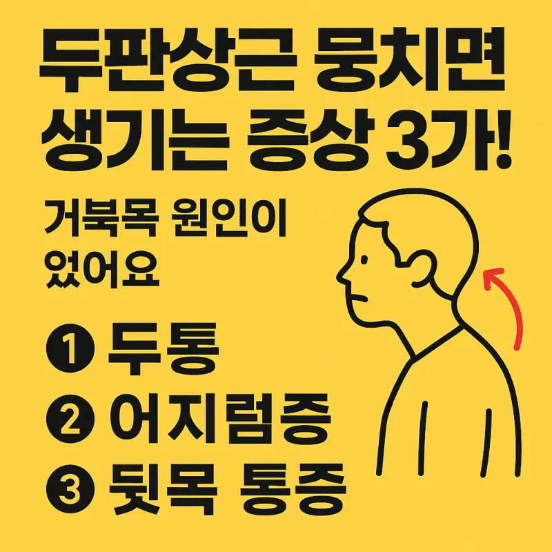 두판상근