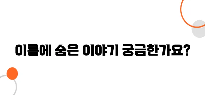 비행기 이름의 유래 – ‘보잉’, ‘에어버스’는 왜 그런 이름일까?