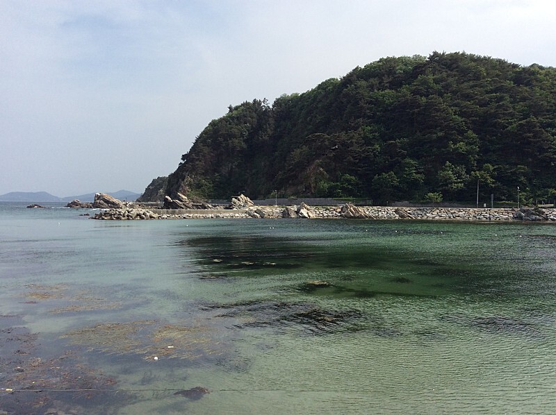  강릉 헌화로