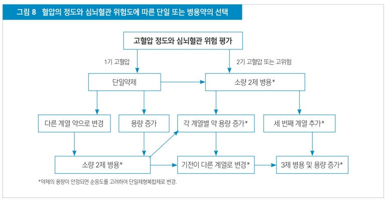 병용약의 선택