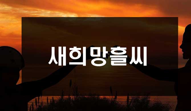  새희망흘씨 II