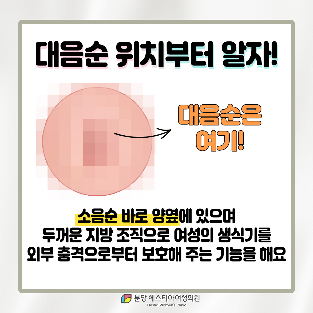 죽전동 산부인과 생식기 발진 회음부아픔 대음순 위치부터 파악하자!