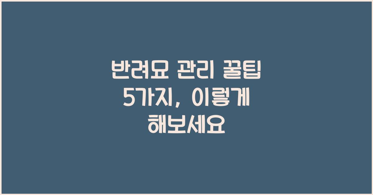 반려묘 관리 꿀팁 5가지