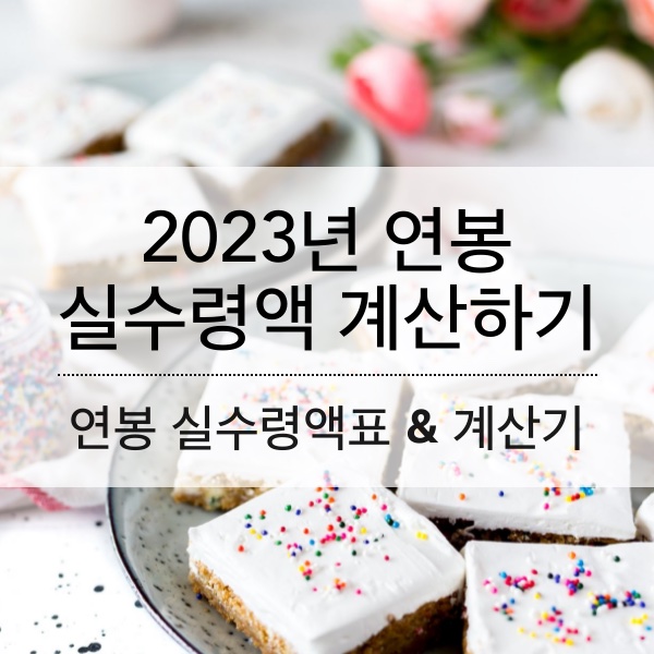 [2023] 연봉 실수령액 표에서 확인하고 실질 월급 계산하는 방법 정리