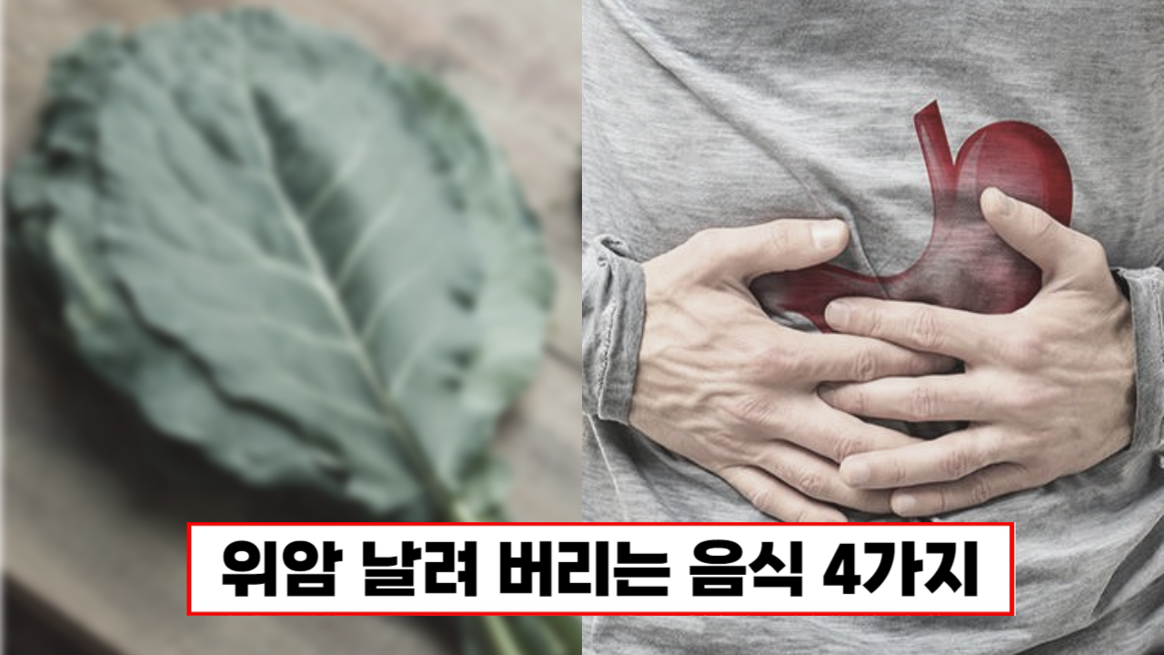 생으로 먹기만해도 위염과 위암 걱정 없습니다! 위에 좋은 음식 5가지