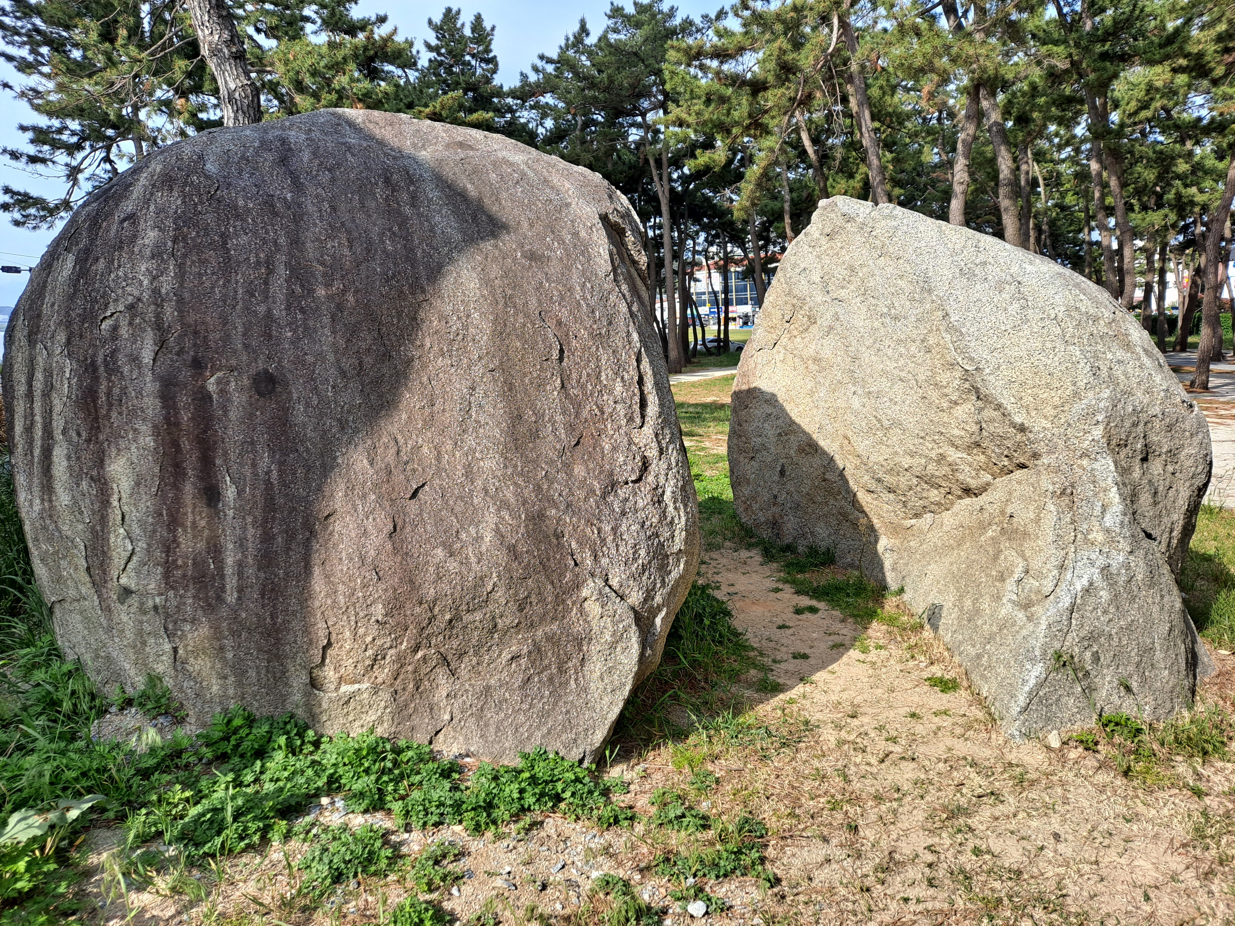 강릉 경포 탄생의 돌