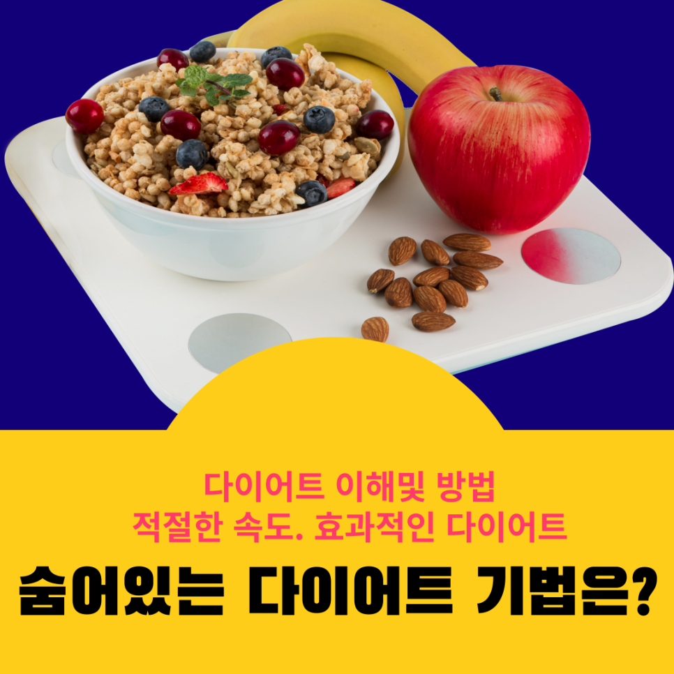  다이어트이해및 방법 속도효과적인다이어트방법