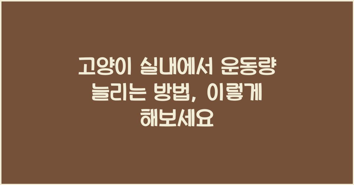 고양이 실내에서 운동량 늘리는 방법