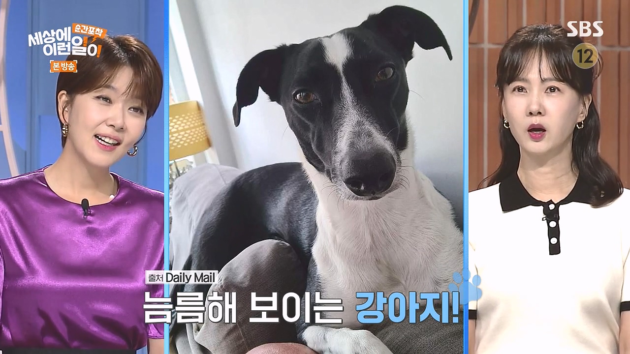 순간포착 세상에 이런일이.E1244.230903p-NEXT.mp4_20230903_173225.946.jpg