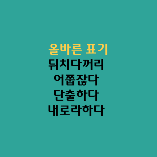  올바른표기/뒤치다꺼리 어쭙잖다 단출하다 거적때기 내로라하다