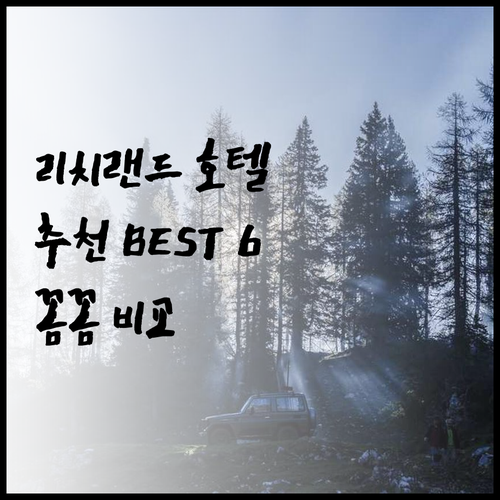 리치랜드 호텔 추천 베스트 6 꼼꼼 