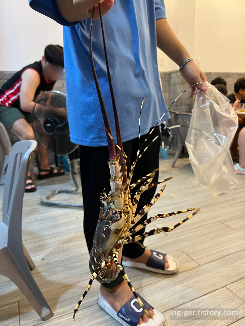 베트남 나트랑 맛집 꽌옥응언 메뉴
