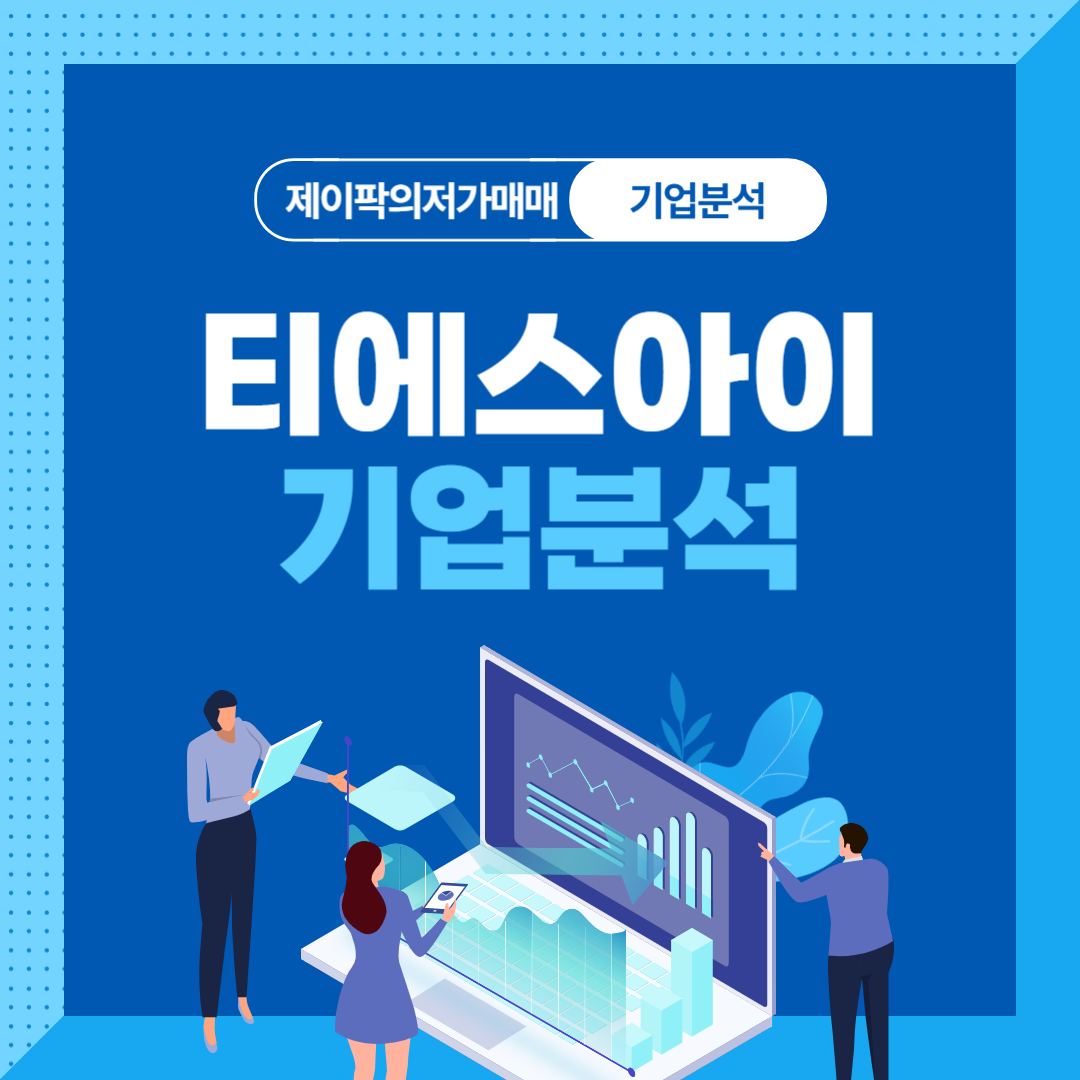 티에스아이 기업분석