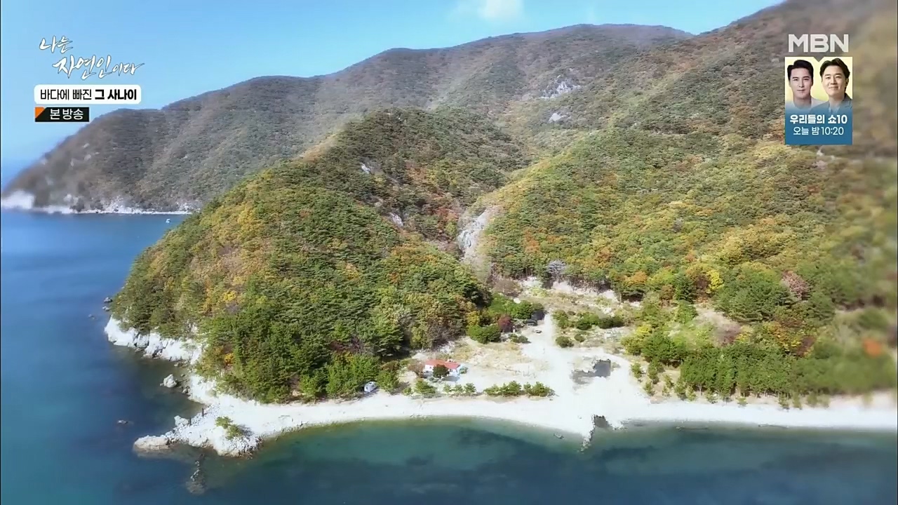 나는 자연인이다.E530.221131p.H264-F1RST.mp4_20221201_212024.669.jpg